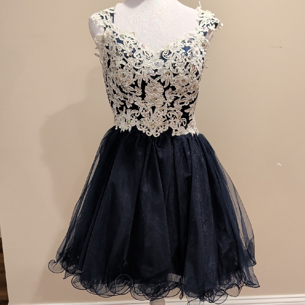 Elegant Navy and White Dress